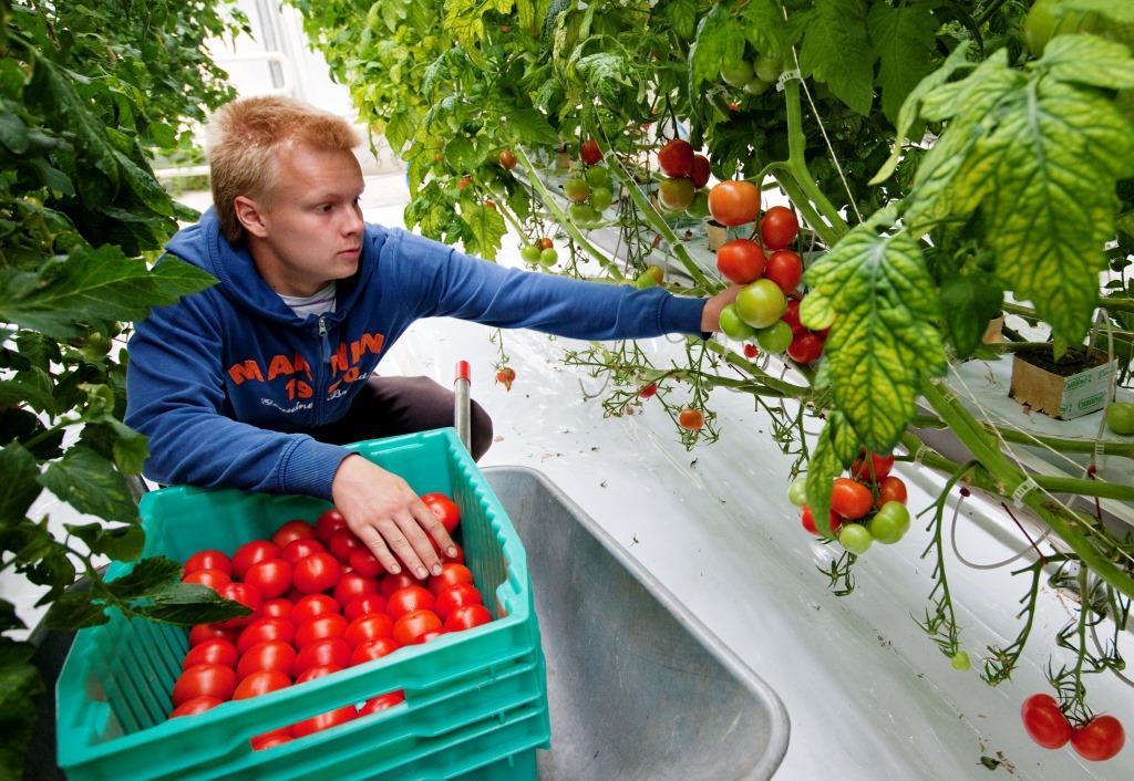 Ajatuksia ja ideoita ruokaketjun koulutuksen