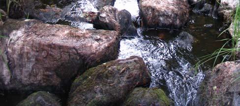joulukuussa 2006 (kuva 8.12.).