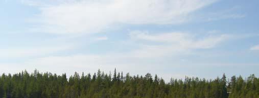 102 Nordic Mines AB Kuva 9.1 Sikolampea ja Piehinginjokea kesällä 2006.