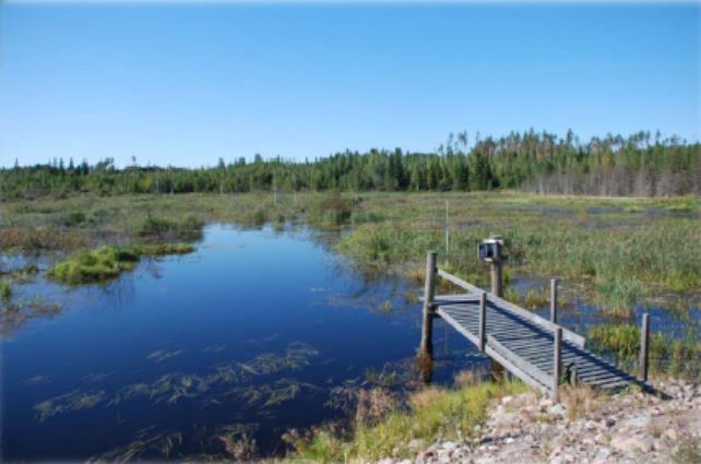 Torsanjoen metsätalouskosteikko