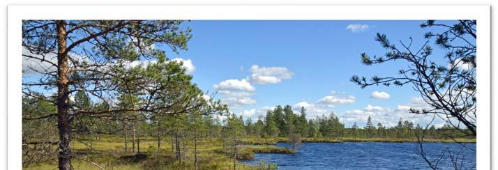 Suosittu kylätesti kertoo, millainen kyläläinen olet Tuoreen tutkimuksen mukaan suomalainen asuisi mieluiten maalla.