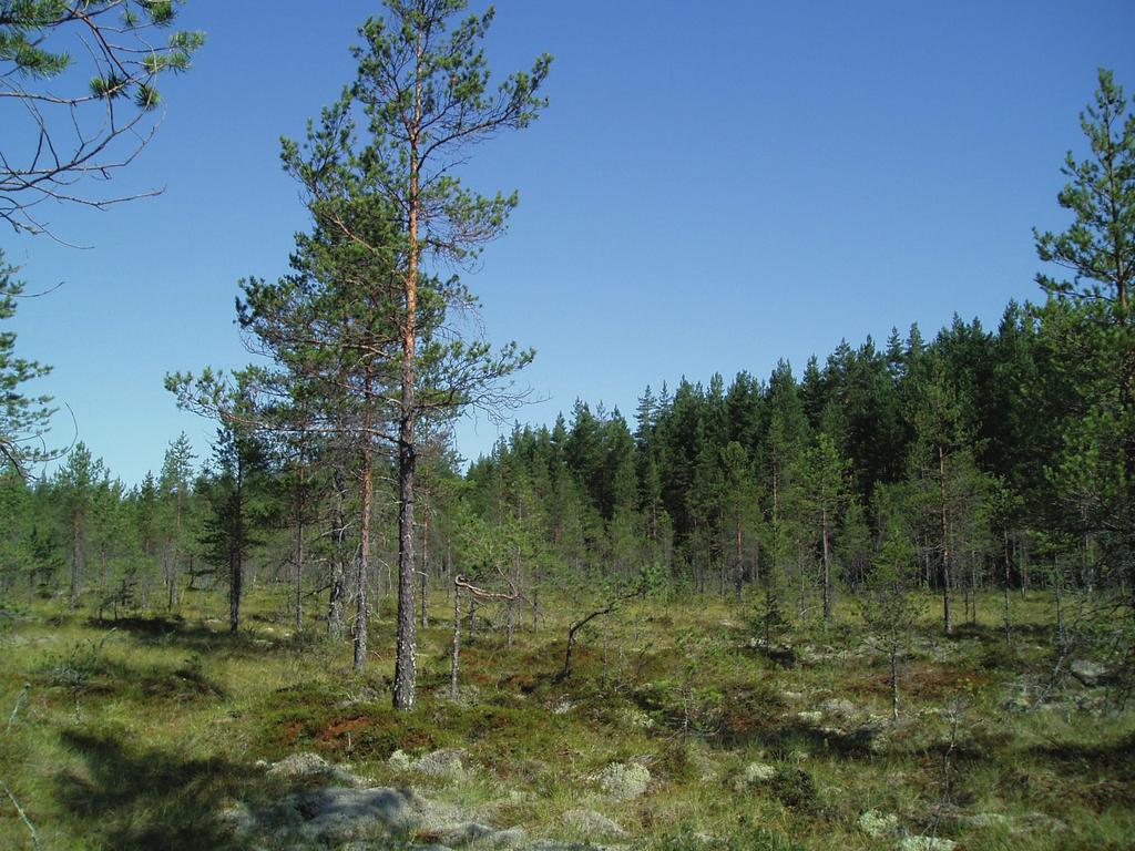 Geologian tutkimuskeskus, Turvetutkimusraportti Geological Survey of Finland, Report of Peat Investigation