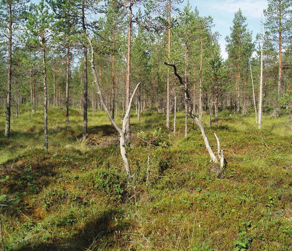 Geologian tutkimuskeskus, Turvetutkimusraportti Geological Survey of Finland, Report of Peat Investigation 449, 2014