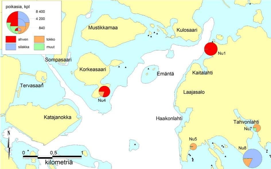Taulukko 1. Poikasnuottauksessa saatujen 0+ -ikäisten kalojen yksilömäärät (kpl) koealoittain vuonna 2011.