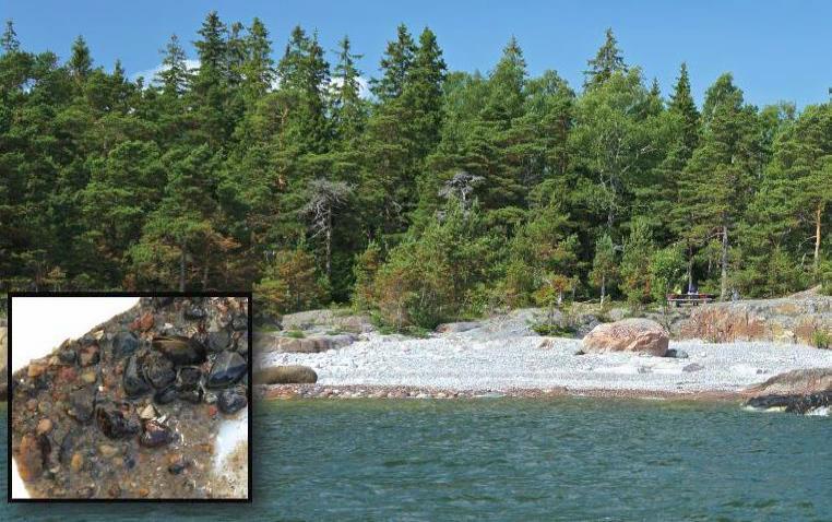 Kuva 1. Sopivalla kutualueella pohjassa on soraa ja virtaukset pitävät pohjan puhtaana (vas.).