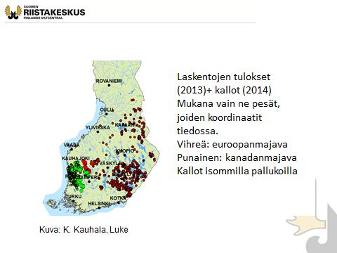 3 Euroopanmajavan levinneisyyden ydinalue Satakunnassa käsittää Kokemäenjoen varren Porista Kokemäelle ja toisaalta Porista pohjoiseen Merikarvian-Siikaisten alueelle.