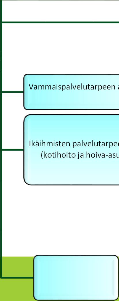 Veteraanineuvonta SAS toiminta Muut palvelut