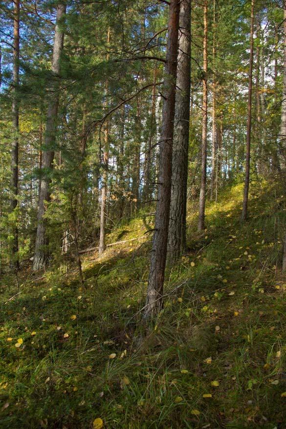 Haikankärjestä on matkaa Kuohijoen kylälle noin 8 km, Luopioisten kirkonkylälle noin 25 km, Pälkäneen kuntakeskukseen noin 40 km ja Tuuloksen kauppakeskukseen noin 30 km.