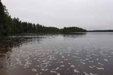 Teksti & Kuvat: Lea Kunnes joku keksi kysyä, miksei sitä kiveä voisi hakea ylös vedestä.