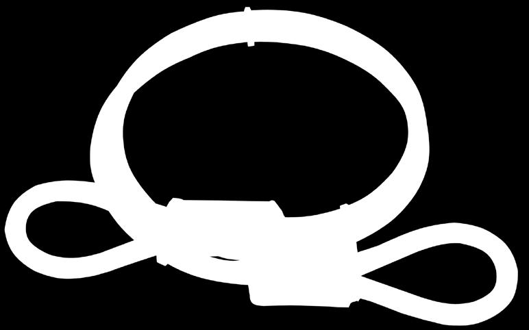 IP 3520190369413