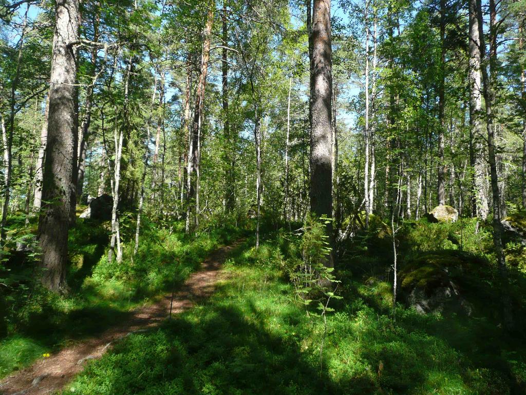 Keskimääräinen lahopuun määrä alueen kangasmetsissä ja lehdoissa on noin 5-10 m /hehtaari, ainakin alueen etelä- ja luoteisosissa on myös runsaslahopuustoisempia osia.