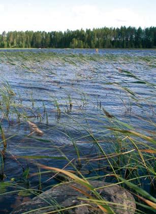 tyypittelyjärjestelmä (Pilke ym. 2002, Ympäristöministeriö 2002, Suomen ympäristökeskus 2002).