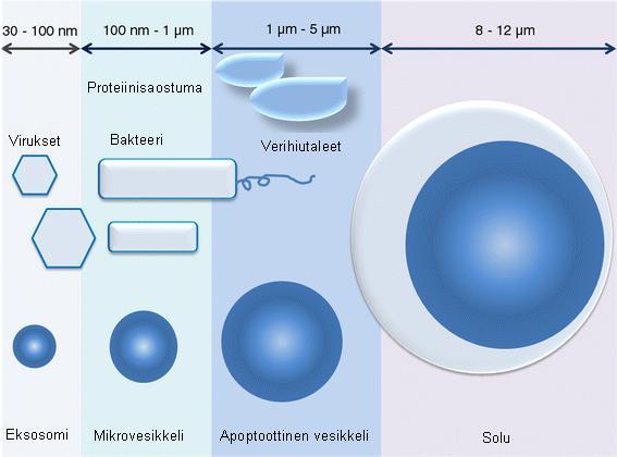 2 2 Solunulkoiset vesikkelit Solunulkoiset vesikkelit ovat kaksoislipidimembraanin ympäröimiä pyöreitä nanopartikkeleita, joita pääsääntöisesti kaikki