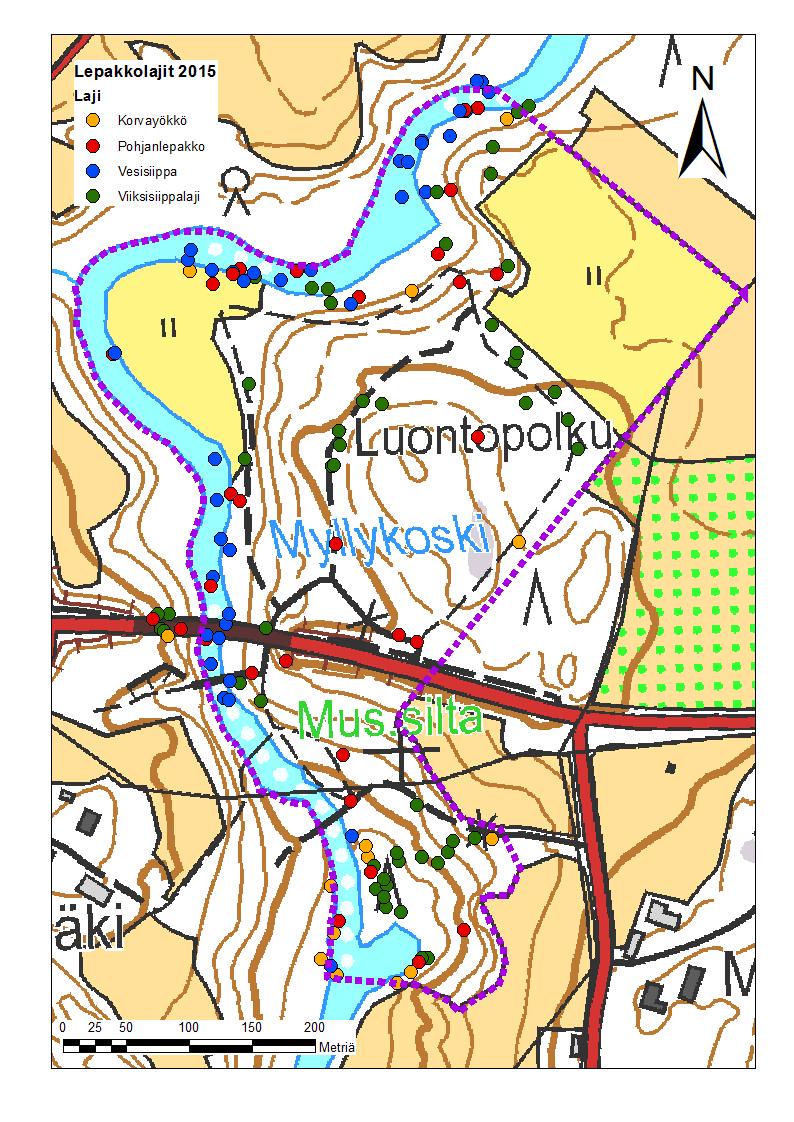 Kuva 4. Myllykosken alueen kartoituksessa havaitut lepakot. Kartoitusta tehtiin kolmena yönä eli kerran kesä-, heinä- ja elokuussa.