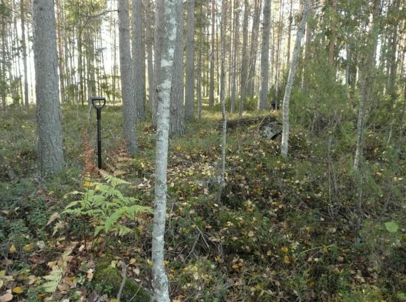 7 Muut havainnot Kiviaita tai sen jäännökset, metsässä, pari kymmentä metriä nykyisestä