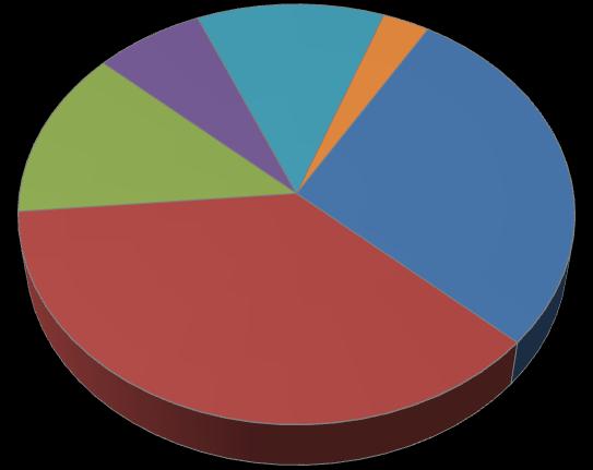9 Polyuretaanin markkinanäkymä vuonna 2010 6,98 % 11,98 % 3,00 % Kiinteä vaahto 13,02 % 28,04 % Joustava vaahto Pinnoitteet 36,98 % Liimat ja tiivisteet