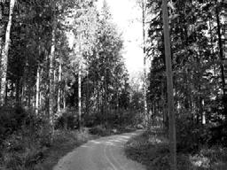 lähiympäristön ja Keskuspuiston pohjoisosan toiminnallinen yleissuunnitelma, MA-Arkkitehdit, 1993 (LIV),Keskuspuiston pohjoisosan l uonnonhoitosuunnitelma 1997-2006 luonnonhoidon 3006.1, 3063, 3064.