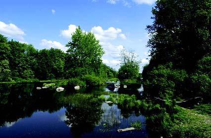 lepakkopaikka, mutta pienialainen (arvoluokka III). Alue on Pitkäkosken kaltainen koskipaikka.
