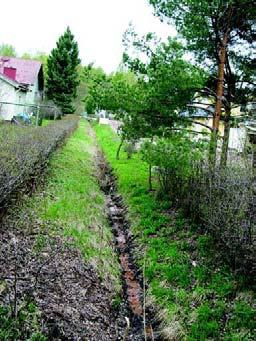 81. LAINKAARENTIEN PUISTOKAISTA pinta-ala 274 m² rekisterinumero 47123 hoitoluokka C1 osoite Lainkaarentie 11-13, Tuusulantie kaavamerkintä vain rajausviiva (puisto)