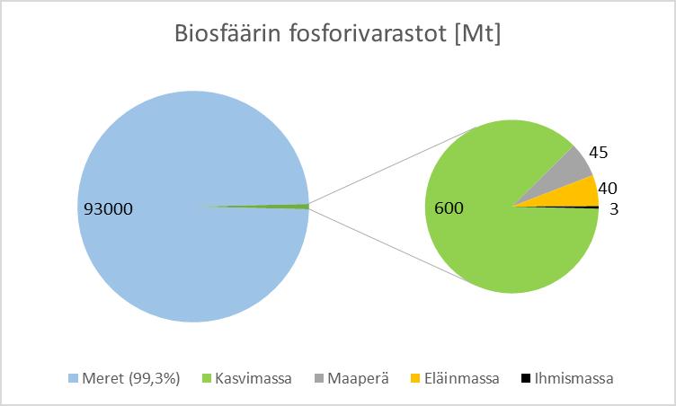 Biosfäärin fosforivarastot [Mt] Kuva 2.2. Eliöihin varastoitunut fosforimäärä maailmassa (Smil 2000). 2.2.3 Fosforivirrat Suomessa Kuvassa 2.