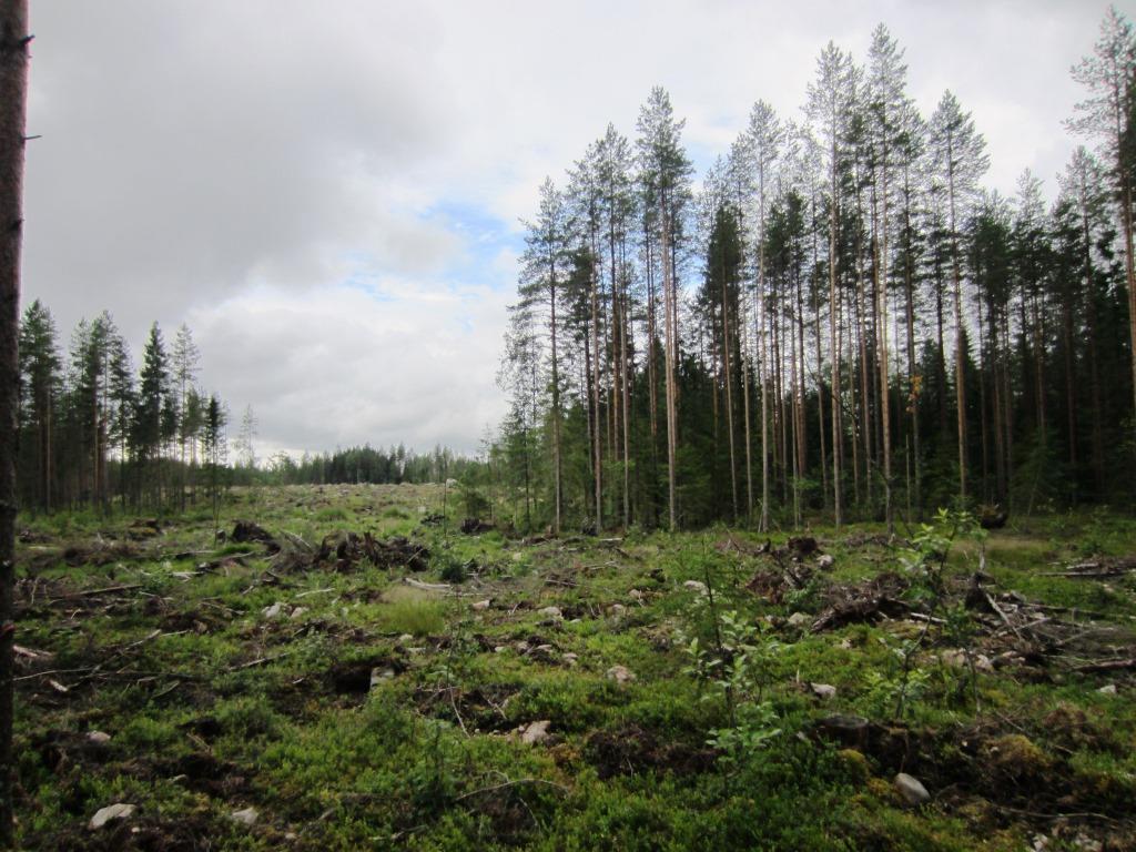 LUONTOSELVITYS 101002800-002 14.10.2016 päivitetty 10.