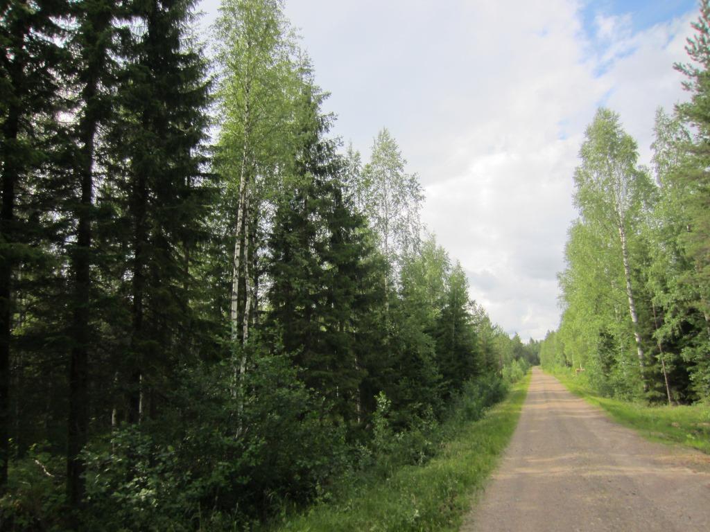 Maakaapelireitti VE1 101002800-002 12 Alkuosan (noin 3,8 km) maakaapelireitti sijoittuu Sorvonkankaan tien varteen, jossa