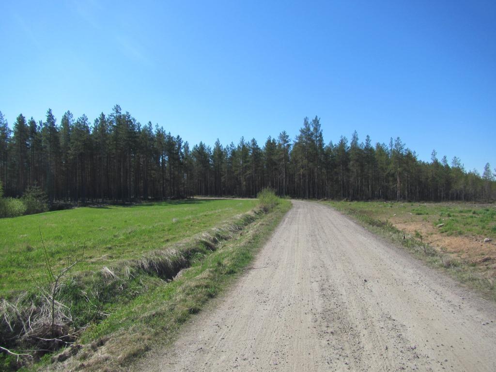 Rasinperäntien risteyksessä reitti kääntyy länteen (noin 3,3 km).