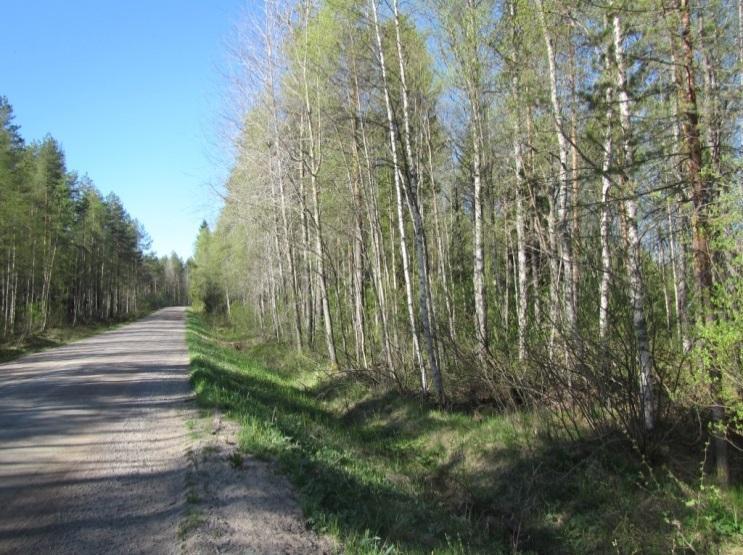 Rasinperäntien varren mäntyvaltaista kuivahkoa kangasta (vasen) ja lehtipuuvaltaista lehtomaista kangasta (oikea).