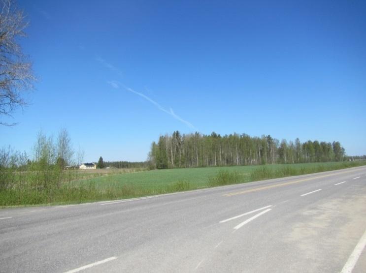 kuivahkoa varttunutta mäntykangasta ja ojitettua rämettä.