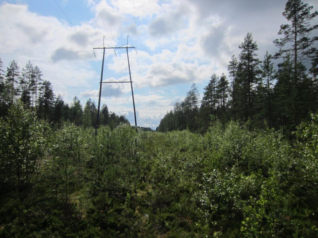 Suunnitellun sähköaseman paikka sijoittuu 110 kv:n voimajohtokäytävän läheisyyteen. Alueen ympäristössä on kuivahkoa varttunutta mäntykangasta ja ojitettua rämettä (Kuva 2-16). Kuva 2-16.