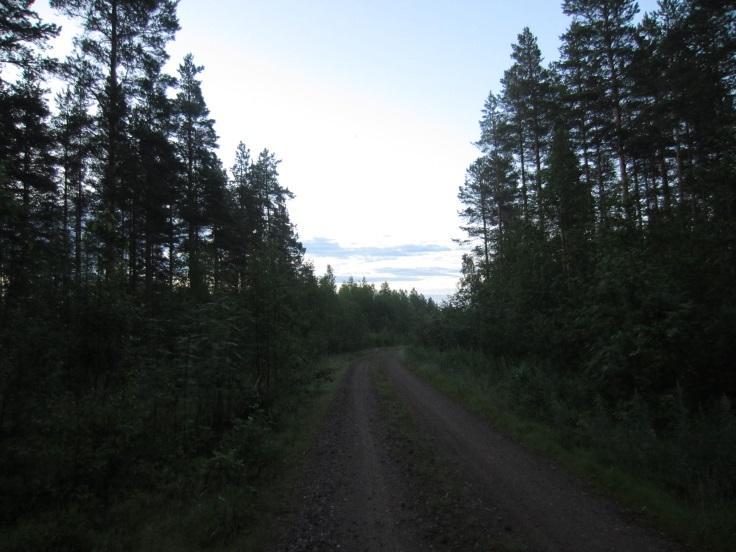 34 Kesäkuun kartoituskäynnillä havaittiin vain kaksi saalistavaa pohjanlepakkoa. Molemmissa havaintopaikoissa ympäröivä habitaatti oli mäntymetsää.