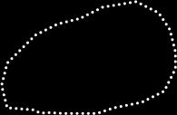 Hohkaluun rakenne Putkiluun seinämän rakenne Periostin alaiset kehälamellit Periosti Välilamellit Hiussuonia Haversin kanavissa Volkmannin kanavat Netter: Thew Ciba Collection Osteoni Luuydintä