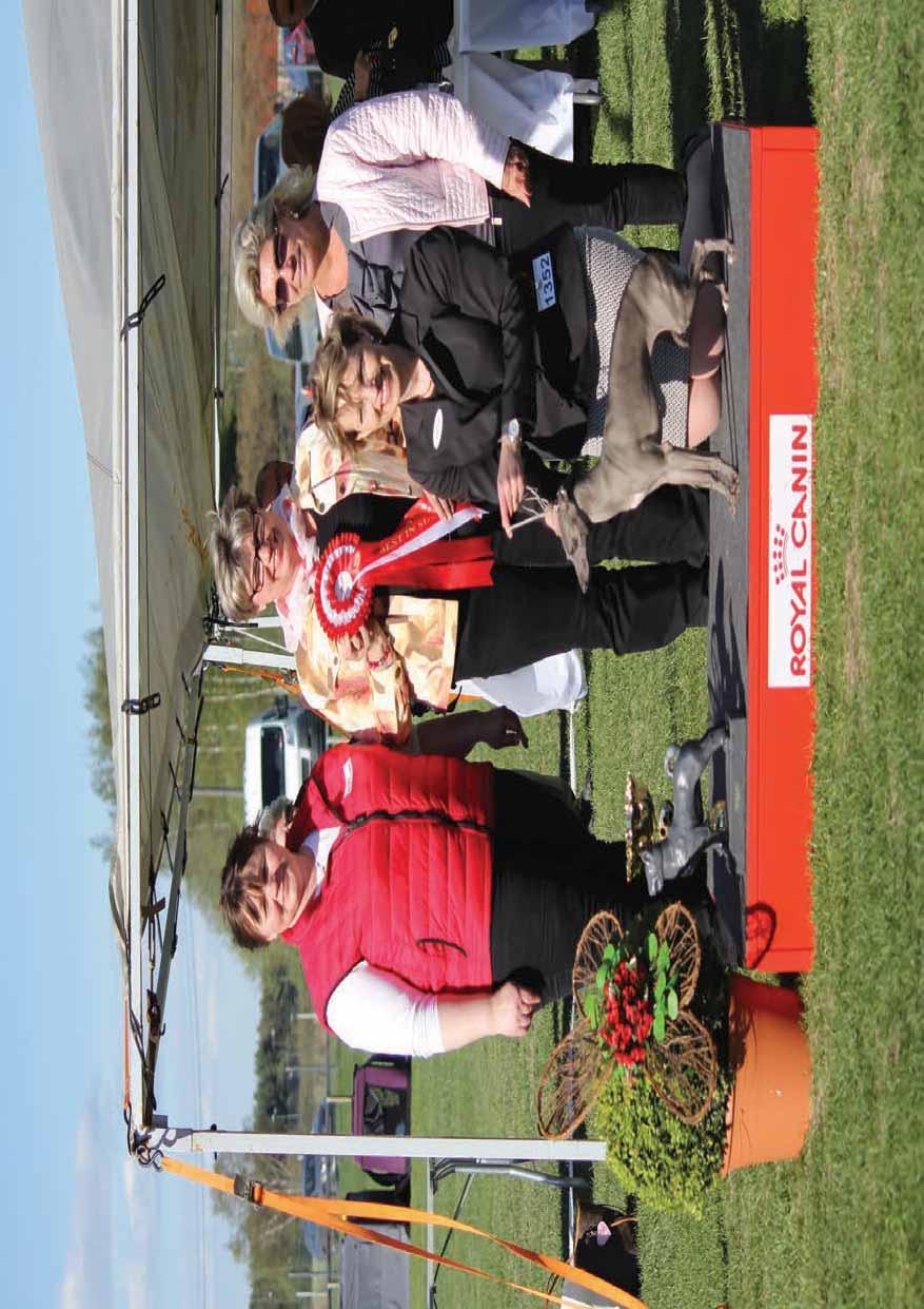 Royal Canin Show 2017 BEST IN SHOW Tämän vuoden näyttelyn BIS-voittajan valitsi Saija Juutilainen, joka sijoitti näyttelyn kauneimmaksi