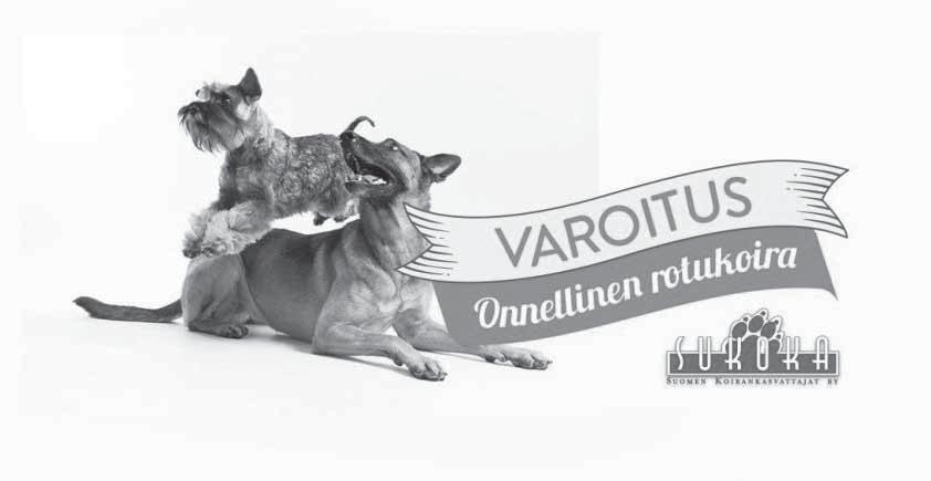 TULE MUKAAN ONNELLINEN ROTUKOIRA -KAMPANJAAN!* http://sukoka.