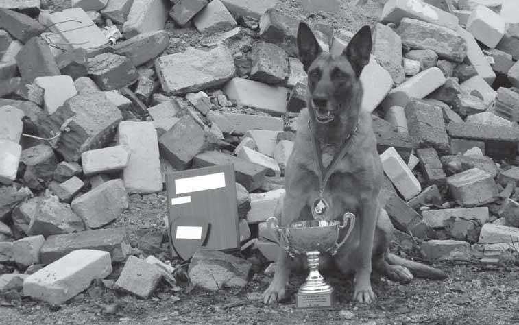 PALVELUSKOIRA-JAOSTO VUODEN PALVELUSKOIRA BELGIANPAIMENKOIRA, MALINOISNARTTU