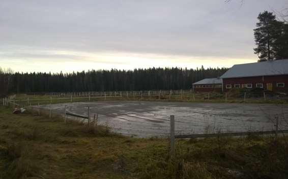 Kuva 11.9. Hankealueen eteläpuolella Kotkannevantiellä sijaitseva hevostila. Kuva: Mattias Järvinen / FCG 11.1.3.