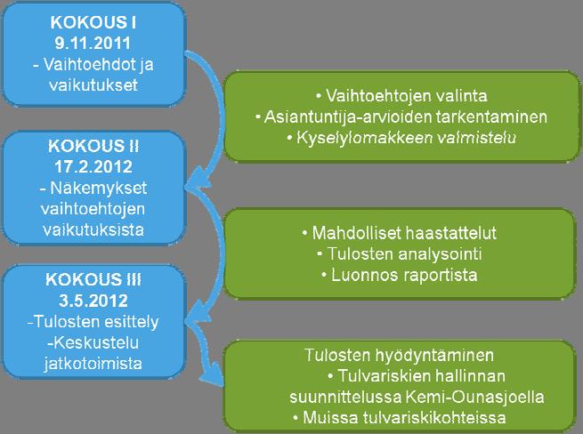 Kuva 2. Rovaniemi foorumin kokoukset ja kokousten välillä tehty asiantuntijatyö.