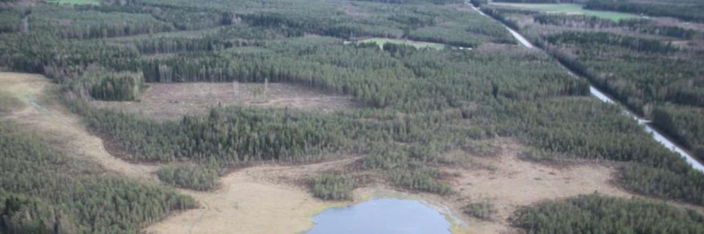 3.2.4 Erityiselinympäristöt Vesistöistä havaittiin suojelullisesti huomioitavista lajeista todennäköisesti pesivänä Marjajärvellä (kuva 6) mustakurkku-uikku (1 pari), tukkasotka (2 paria), joutsen (1
