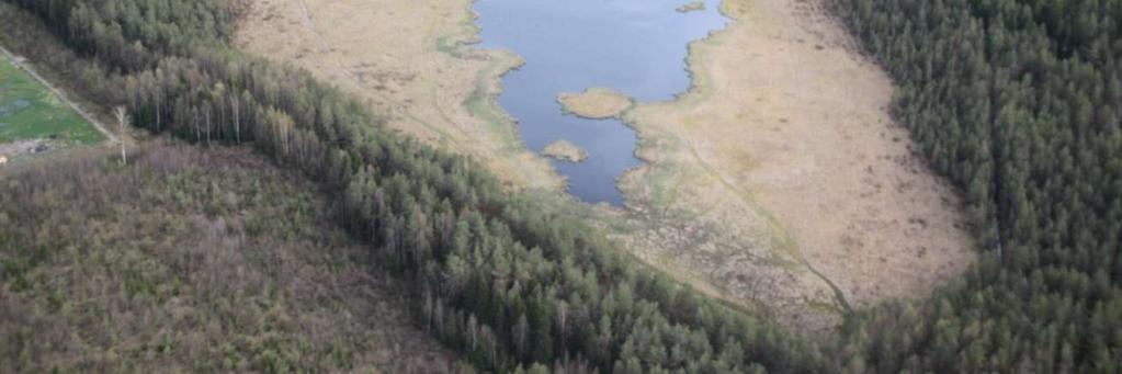 Pirttijärvellä esiintyivät tukkasotka (1 pari), tukkakoskelo (1 pari) ja telkkä (1 pari). Pirttijärvellä ovat aiemmin pesineet joutsen ja kaakkuri.