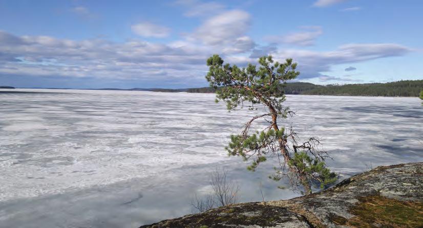 LUHANKA KAUPINLAHDEN RANTA ASEMAKAAVAN MUUTOS RANTA ASEMAKAAVALLA MUODOSTUVAT KORTTELIT 1 8 (RA ja RA 2) SEKÄ MAA JA METSÄTALOUSALUE (M), VESALUE (W) JA VENEVALKAMA ALUEET (LV) RANTA ASEMAKAAVAN