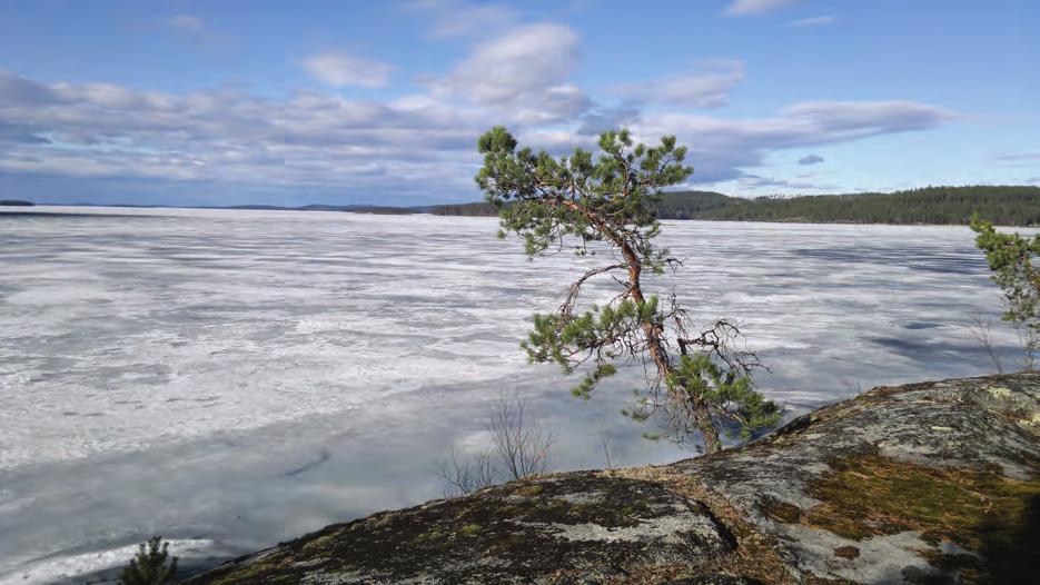 Kallioisilla niemillä on maisemallisia arvoja.