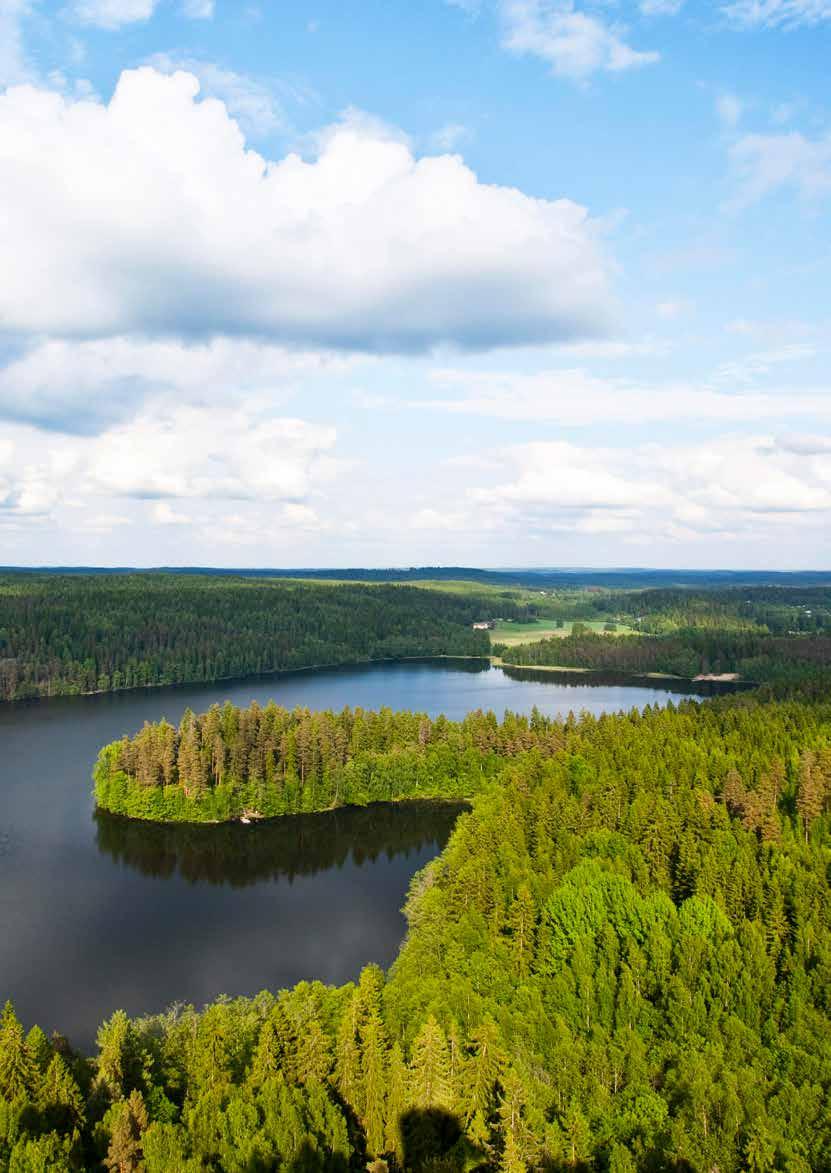 PEFC - VASTUULLISESTI METSÄSTÄ MEILLE KAIKILLE Noudatamme LAKEJA Säilytämme METSIEN HIILINIELUN Ilmoitamme METSÄN KÄYTÖSTÄ Hyödynnämme AJANTASAISTA METSÄVARATIETOA Varmistamme METSÄNHOITO- TÖIDEN