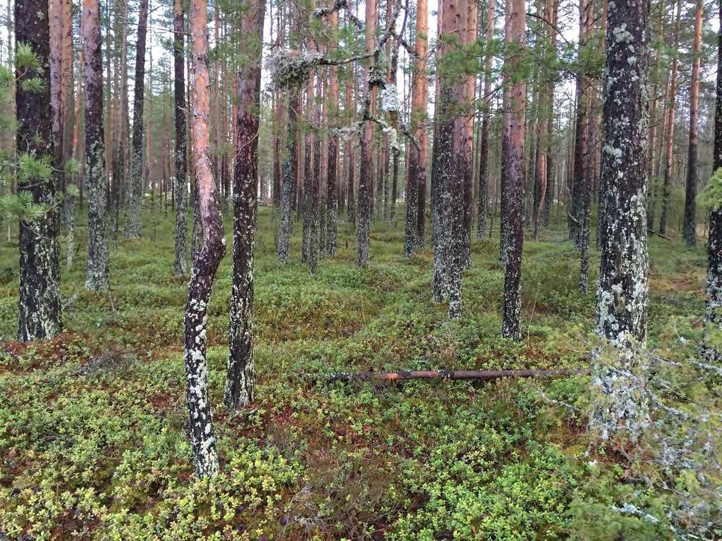 eteläkulmasta