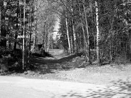 ympäristössä. Alue soveltuu lepakoille, koska siellä on vanhaa metsää, vanha kartanon pihapiiri sekä kotieläimiä. Uhkatekijänä on metsän hakkuu.