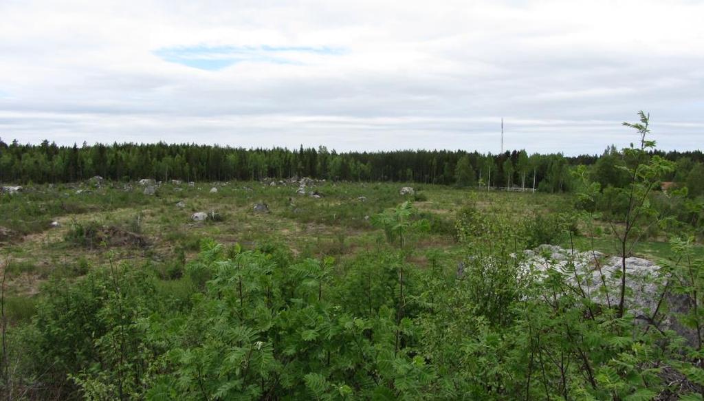 S i v u 6 Kuva 4. Näkymä kaava-alueelle Singsbyntien vieressä olevalta Trollkunibackilta katsottuna. Kuva 5. Viljelysmaata kaava-alueen itäosassa. 3.1.