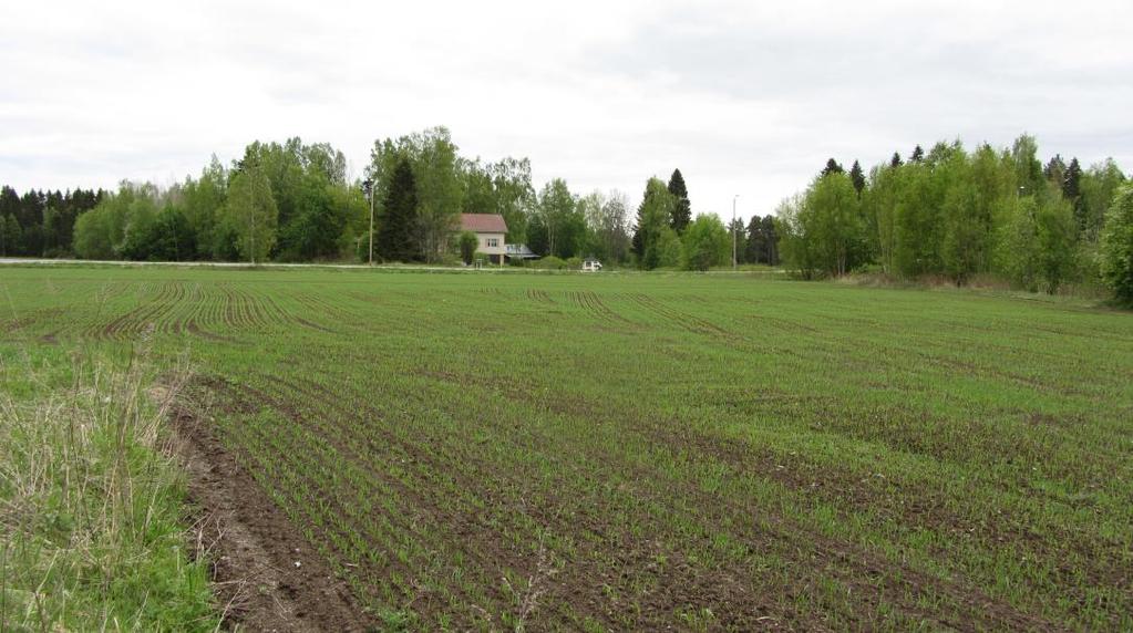 Koko alue on erittäin kivistä, ja avohakkuualueen maisemakuvassa näkyy suuria kivilohkareita. Alueella on pääosin nuorta vesakkoa ja hakkuujätettä.