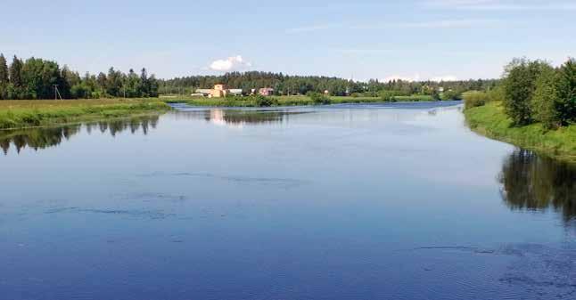 Det i mitten av skogsområdet befintliga Långträsket passeras på norra sidan på ett längre avstånd än i den tidigare vägutredningen för att skydda naturvärden.