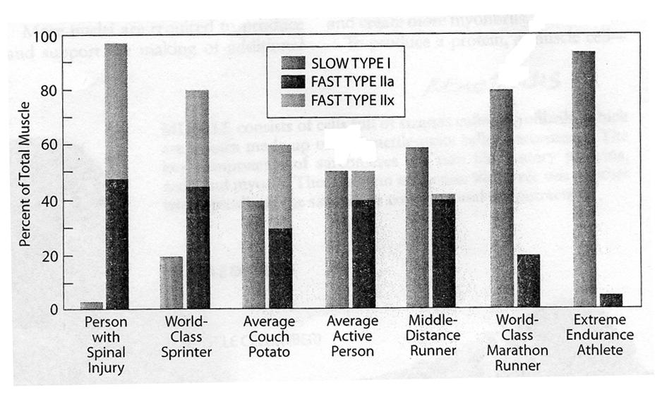 Fall 4 Mardröm i Aten Video. Världens bästa kvinnliga sprintterlöpare förbereder sig för finalloppet i 100m vid världsmästerskapen i Aten 1997.