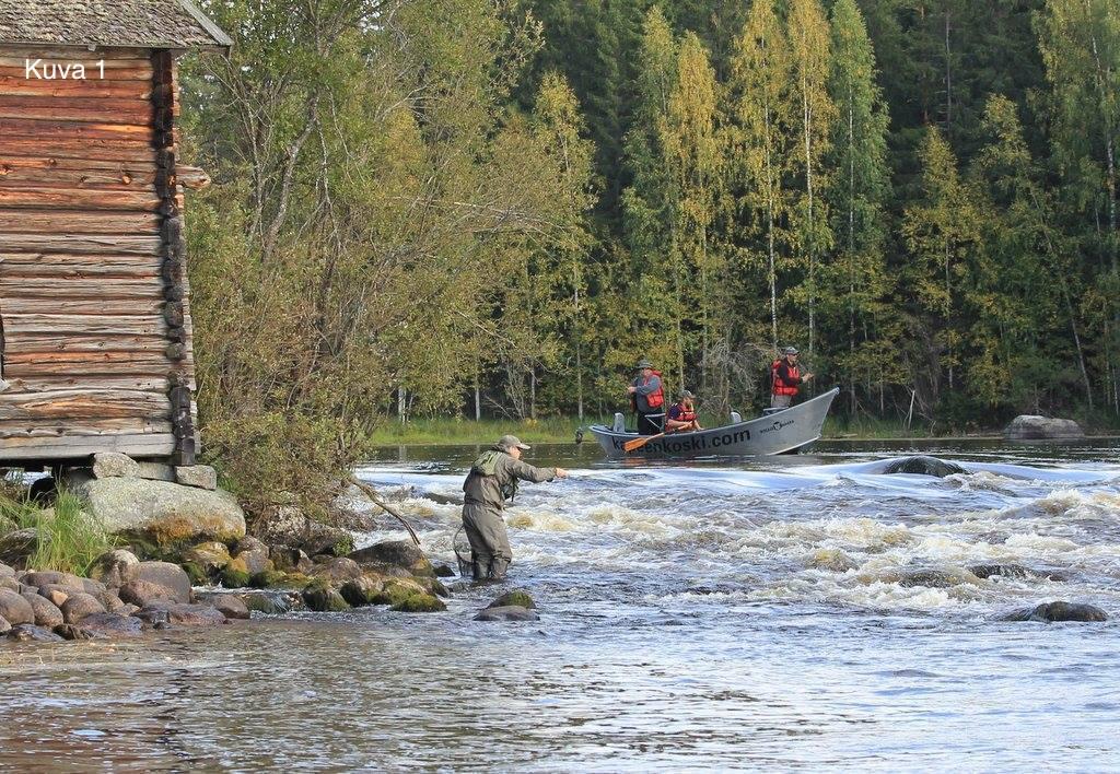 30 Tutkimuskuva(1( Kuvio1.Tutkimuskuva1:Kalalla( ( Millaisen(mielikuvan(kuva(sinussa(herättää?(( 35 30 30 25 20 15 10 17 13 10 8 8 8 6 6 6 5 0 Kuvio2.Millaisenmielikuvankuva(1)sinussaherättää?