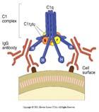 Ustekinumabi Stelara IgG1 Anti-IL12/23-vasta-aine CTLA4+Fc Fuusioproteiini CTLA4+Fc-osa, Abatasepti Orencia (IgG1) estää T-solujen kostimulaation Anakinra Kineret RA IL1-reseptoriantagonisti